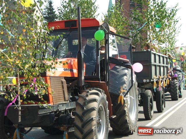 Zdjęcie w galerii na portalu naszraciborz.pl: Żniwniok w ziemniaczanej wiosce wiadomości z regionu