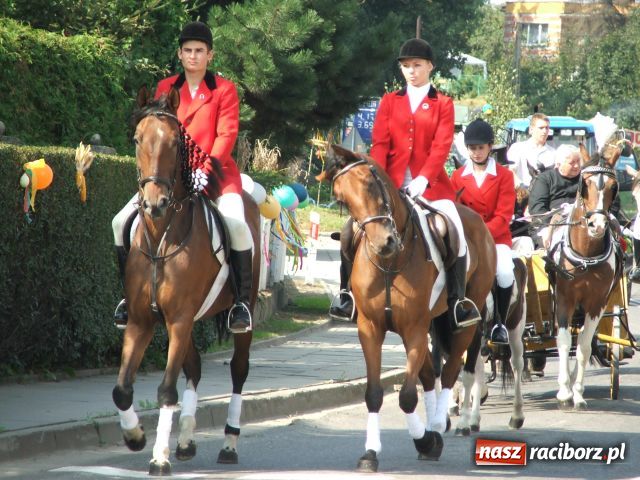 Zdjęcie w galerii na portalu naszraciborz.pl: Żniwniok w ziemniaczanej wiosce wiadomości z regionu