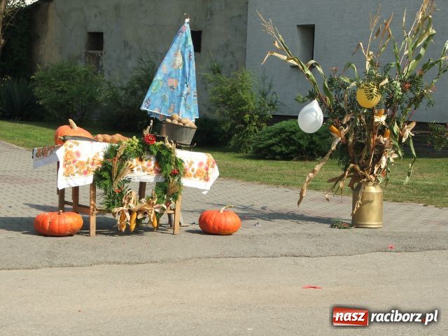 Zdjęcie w galerii na portalu naszraciborz.pl: Żniwniok w ziemniaczanej wiosce wiadomości z regionu