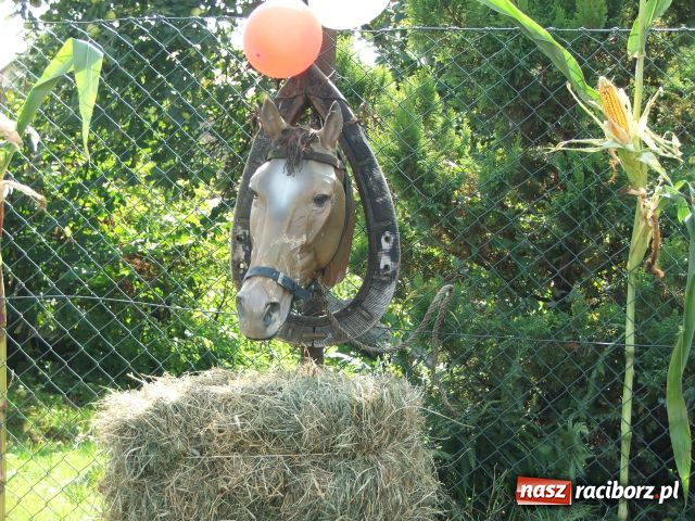 Zdjęcie w galerii na portalu naszraciborz.pl: Żniwniok w ziemniaczanej wiosce wiadomości z regionu