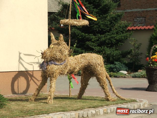 Zdjęcie w galerii na portalu naszraciborz.pl: Żniwniok w ziemniaczanej wiosce wiadomości z regionu