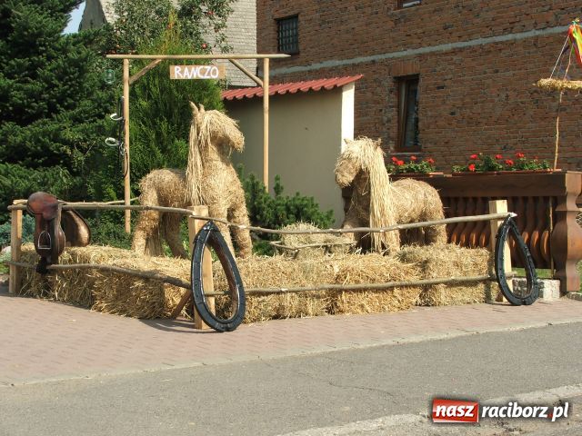 Zdjęcie w galerii na portalu naszraciborz.pl: Żniwniok w ziemniaczanej wiosce wiadomości z regionu