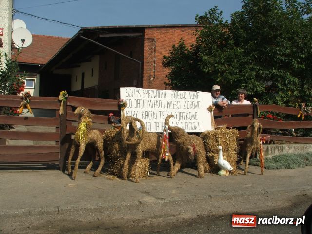Zdjęcie w galerii na portalu naszraciborz.pl: Żniwniok w ziemniaczanej wiosce wiadomości z regionu