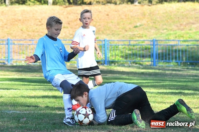Zdjęcie w galerii na portalu naszraciborz.pl: Zwycięstwo i remis Unii w Lidze Orlików wiadomości z regionu