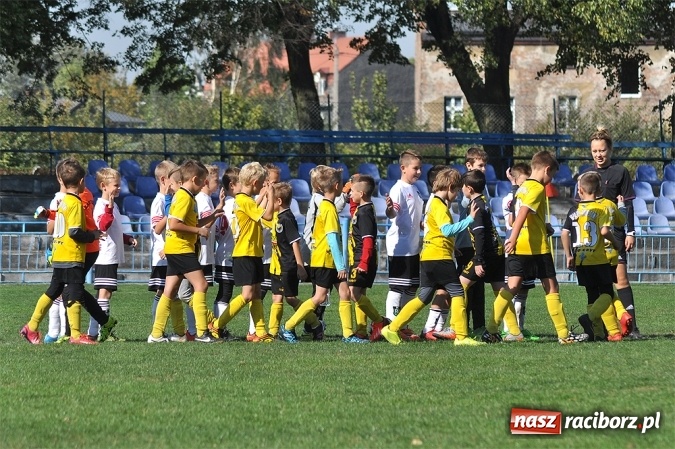 Zdjęcie w galerii na portalu naszraciborz.pl: Zwycięstwo i remis Unii w Lidze Orlików wiadomości z regionu