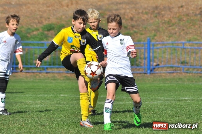 Zdjęcie w galerii na portalu naszraciborz.pl: Zwycięstwo i remis Unii w Lidze Orlików wiadomości z regionu
