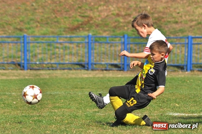 Zdjęcie w galerii na portalu naszraciborz.pl: Zwycięstwo i remis Unii w Lidze Orlików wiadomości z regionu