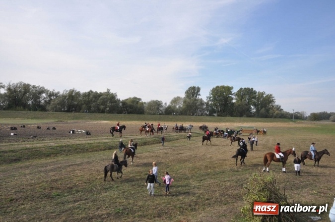 Zdjęcie w galerii na portalu naszraciborz.pl: Piękne amazonki na koniach, czyli Hubertus 2015 na polach na Ostrogu wiadomości z regionu