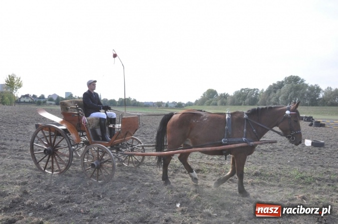 Zdjęcie w galerii na portalu naszraciborz.pl: Piękne amazonki na koniach, czyli Hubertus 2015 na polach na Ostrogu wiadomości z regionu