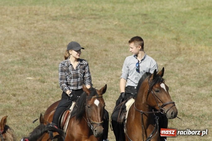 Zdjęcie w galerii na portalu naszraciborz.pl: Piękne amazonki na koniach, czyli Hubertus 2015 na polach na Ostrogu wiadomości z regionu