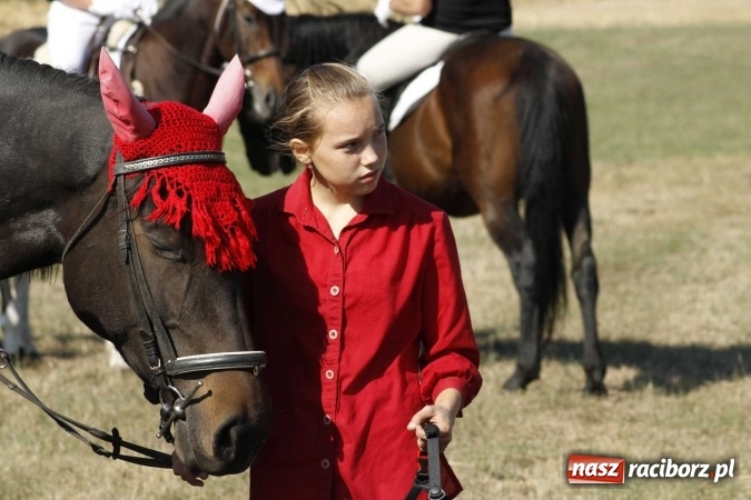 Zdjęcie w galerii na portalu naszraciborz.pl: Piękne amazonki na koniach, czyli Hubertus 2015 na polach na Ostrogu wiadomości z regionu