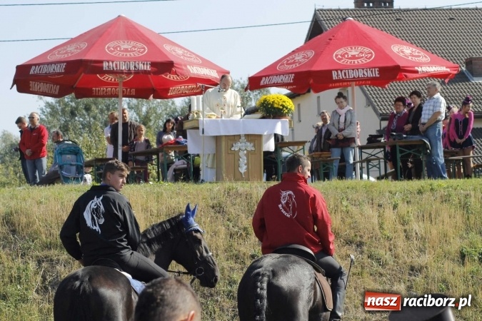 Zdjęcie w galerii na portalu naszraciborz.pl: Piękne amazonki na koniach, czyli Hubertus 2015 na polach na Ostrogu wiadomości z regionu