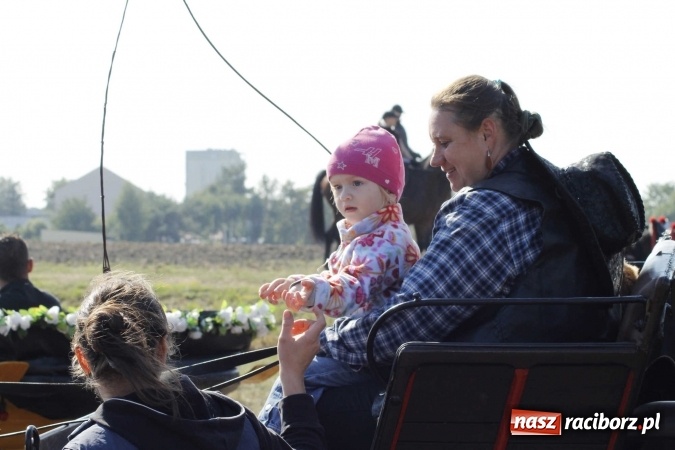 Zdjęcie w galerii na portalu naszraciborz.pl: Piękne amazonki na koniach, czyli Hubertus 2015 na polach na Ostrogu wiadomości z regionu