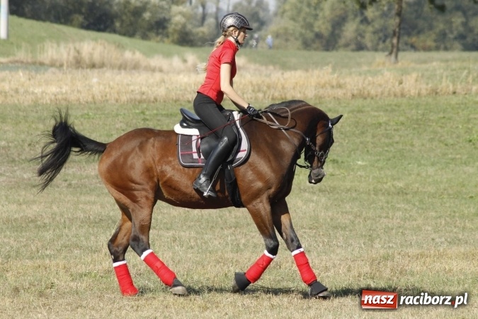 Zdjęcie w galerii na portalu naszraciborz.pl: Piękne amazonki na koniach, czyli Hubertus 2015 na polach na Ostrogu wiadomości z regionu
