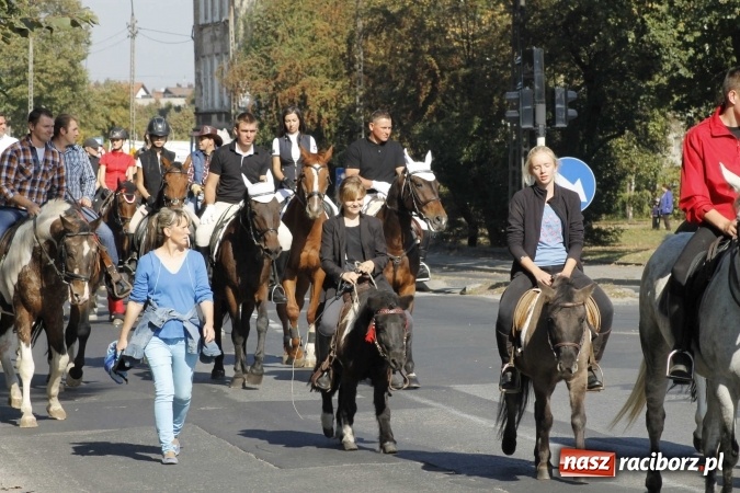 Zdjęcie w galerii na portalu naszraciborz.pl: Piękne amazonki na koniach, czyli Hubertus 2015 na polach na Ostrogu wiadomości z regionu