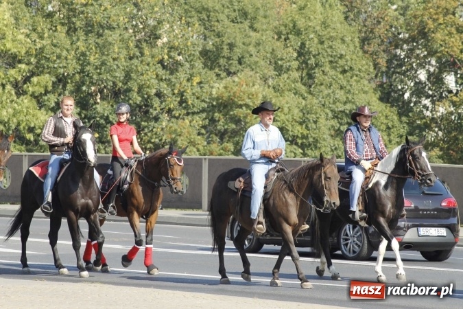 Zdjęcie w galerii na portalu naszraciborz.pl: Piękne amazonki na koniach, czyli Hubertus 2015 na polach na Ostrogu wiadomości z regionu