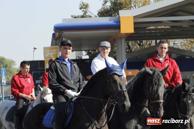 Zdjęcie w galerii na portalu naszraciborz.pl: Piękne amazonki na koniach, czyli Hubertus 2015 na polach na Ostrogu wiadomości z regionu