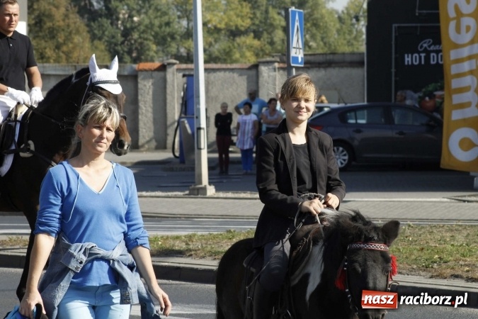 Zdjęcie w galerii na portalu naszraciborz.pl: Piękne amazonki na koniach, czyli Hubertus 2015 na polach na Ostrogu wiadomości z regionu
