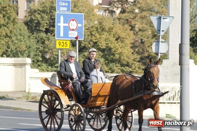 Zdjęcie w galerii na portalu naszraciborz.pl: Piękne amazonki na koniach, czyli Hubertus 2015 na polach na Ostrogu wiadomości z regionu