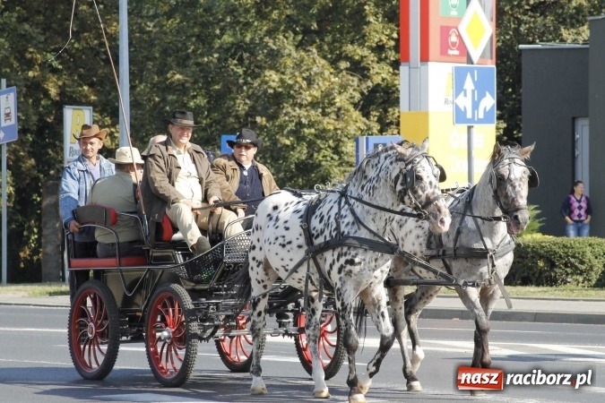 Zdjęcie w galerii na portalu naszraciborz.pl: Piękne amazonki na koniach, czyli Hubertus 2015 na polach na Ostrogu wiadomości z regionu