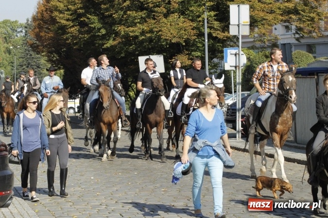 Zdjęcie w galerii na portalu naszraciborz.pl: Piękne amazonki na koniach, czyli Hubertus 2015 na polach na Ostrogu wiadomości z regionu