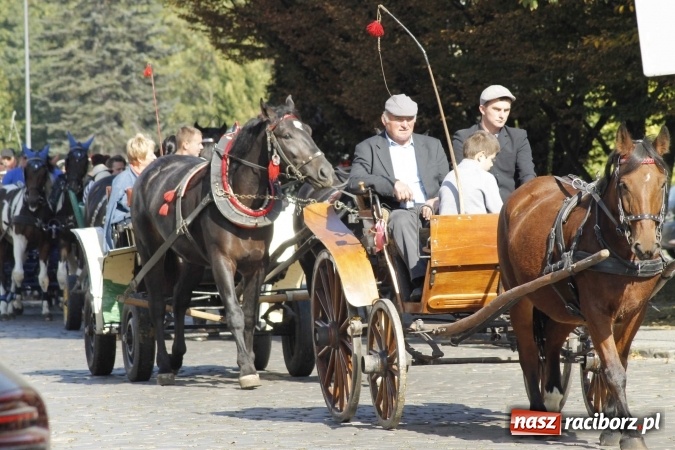 Zdjęcie w galerii na portalu naszraciborz.pl: Piękne amazonki na koniach, czyli Hubertus 2015 na polach na Ostrogu wiadomości z regionu