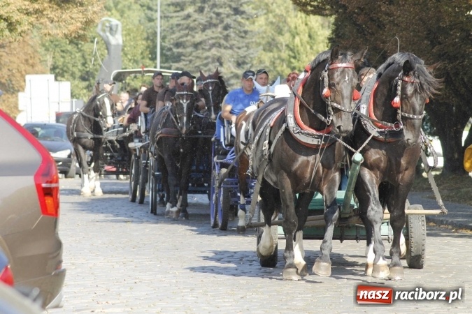 Zdjęcie w galerii na portalu naszraciborz.pl: Piękne amazonki na koniach, czyli Hubertus 2015 na polach na Ostrogu wiadomości z regionu
