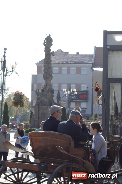 Zdjęcie w galerii na portalu naszraciborz.pl: Piękne amazonki na koniach, czyli Hubertus 2015 na polach na Ostrogu wiadomości z regionu