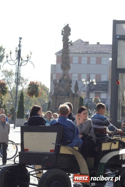 Zdjęcie w galerii na portalu naszraciborz.pl: Piękne amazonki na koniach, czyli Hubertus 2015 na polach na Ostrogu wiadomości z regionu