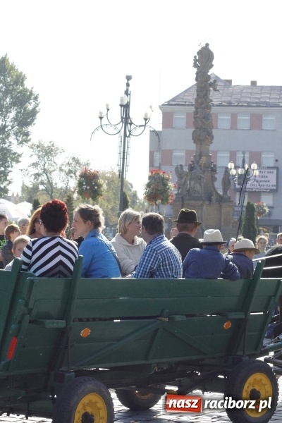 Zdjęcie w galerii na portalu naszraciborz.pl: Piękne amazonki na koniach, czyli Hubertus 2015 na polach na Ostrogu wiadomości z regionu