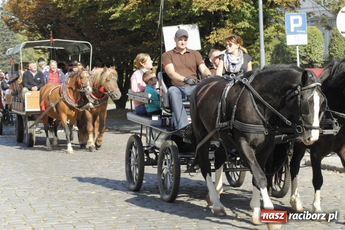 Zdjęcie w galerii na portalu naszraciborz.pl: Piękne amazonki na koniach, czyli Hubertus 2015 na polach na Ostrogu wiadomości z regionu