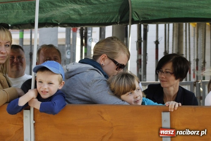 Zdjęcie w galerii na portalu naszraciborz.pl: Piękne amazonki na koniach, czyli Hubertus 2015 na polach na Ostrogu wiadomości z regionu