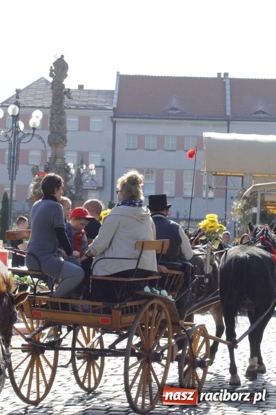 Zdjęcie w galerii na portalu naszraciborz.pl: Piękne amazonki na koniach, czyli Hubertus 2015 na polach na Ostrogu wiadomości z regionu