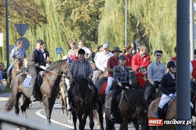 Zdjęcie w galerii na portalu naszraciborz.pl: Piękne amazonki na koniach, czyli Hubertus 2015 na polach na Ostrogu wiadomości z regionu
