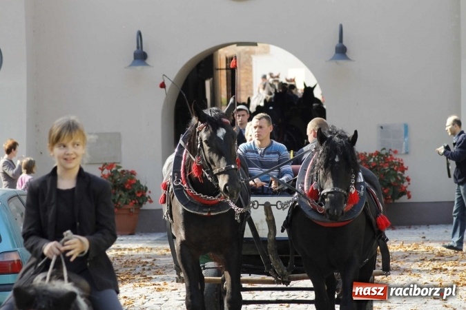 Zdjęcie w galerii na portalu naszraciborz.pl: Piękne amazonki na koniach, czyli Hubertus 2015 na polach na Ostrogu wiadomości z regionu