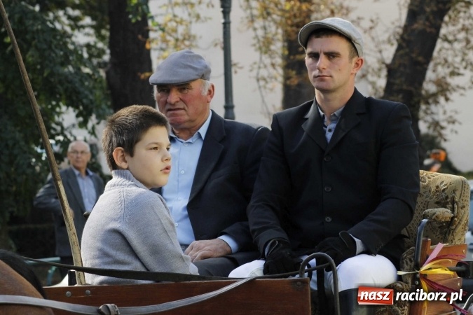 Zdjęcie w galerii na portalu naszraciborz.pl: Piękne amazonki na koniach, czyli Hubertus 2015 na polach na Ostrogu wiadomości z regionu