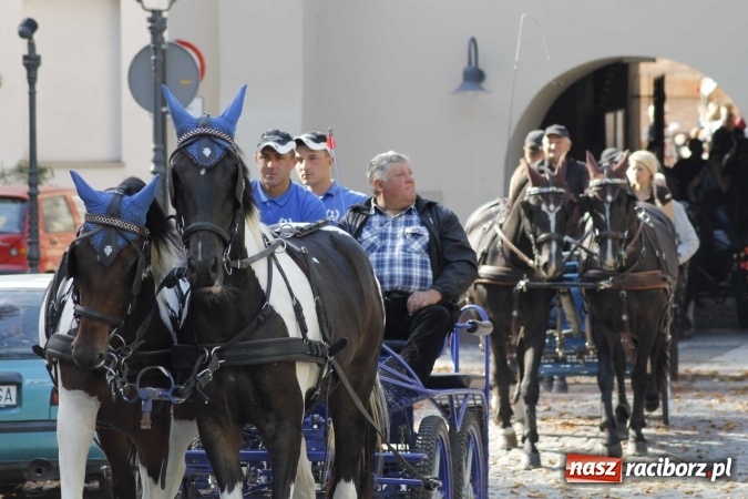 Zdjęcie w galerii na portalu naszraciborz.pl: Piękne amazonki na koniach, czyli Hubertus 2015 na polach na Ostrogu wiadomości z regionu