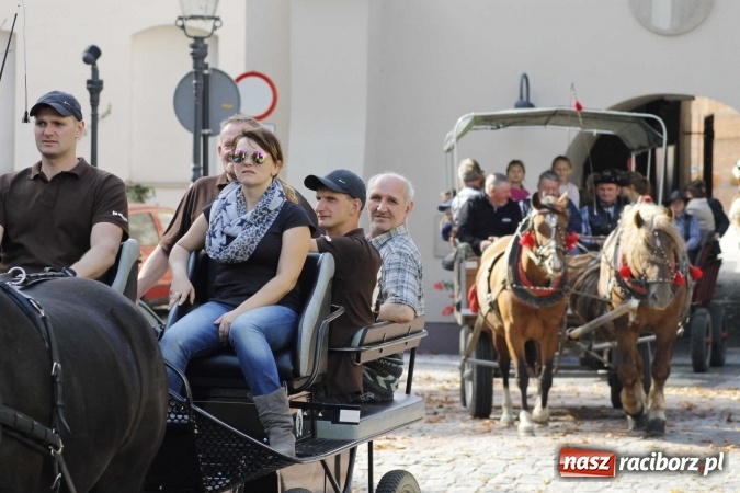Zdjęcie w galerii na portalu naszraciborz.pl: Piękne amazonki na koniach, czyli Hubertus 2015 na polach na Ostrogu wiadomości z regionu