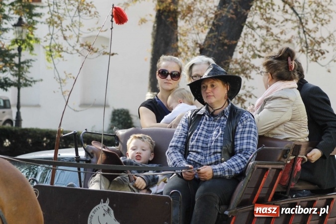 Zdjęcie w galerii na portalu naszraciborz.pl: Piękne amazonki na koniach, czyli Hubertus 2015 na polach na Ostrogu wiadomości z regionu