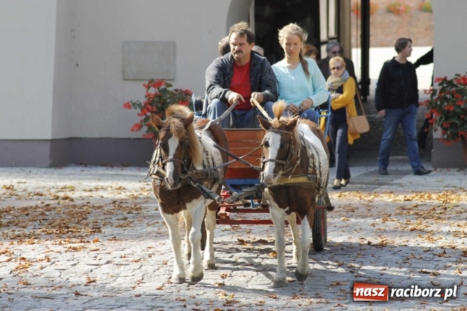 Zdjęcie w galerii na portalu naszraciborz.pl: Piękne amazonki na koniach, czyli Hubertus 2015 na polach na Ostrogu wiadomości z regionu
