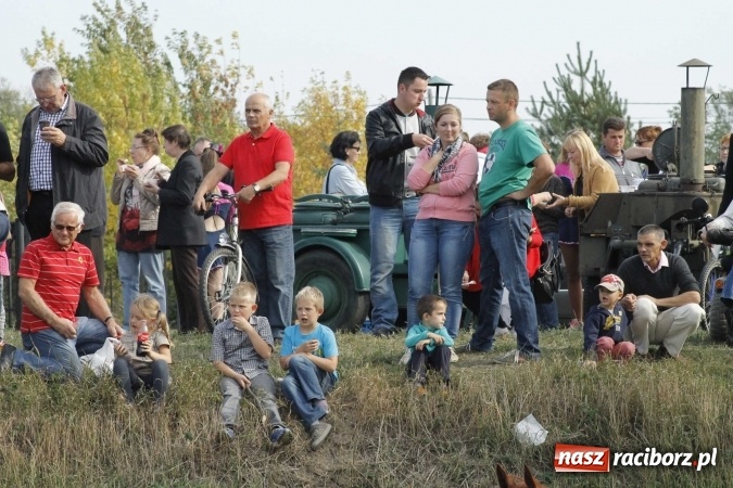 Zdjęcie w galerii na portalu naszraciborz.pl: Piękne amazonki na koniach, czyli Hubertus 2015 na polach na Ostrogu wiadomości z regionu