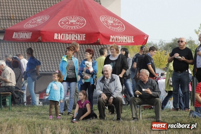 Zdjęcie w galerii na portalu naszraciborz.pl: Piękne amazonki na koniach, czyli Hubertus 2015 na polach na Ostrogu wiadomości z regionu