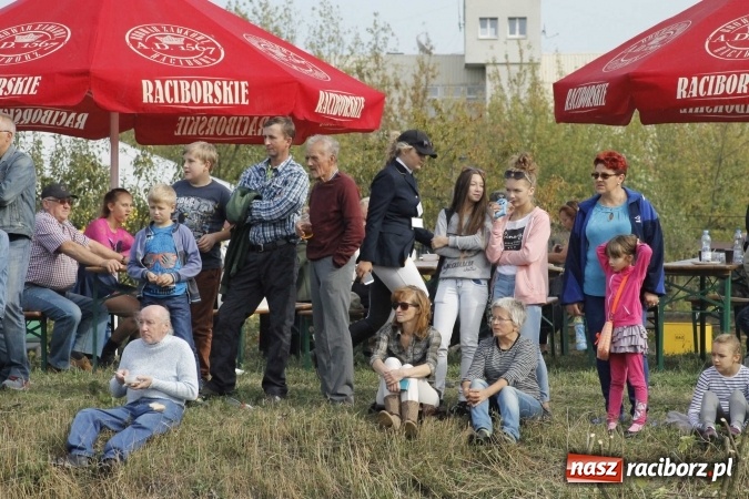 Zdjęcie w galerii na portalu naszraciborz.pl: Piękne amazonki na koniach, czyli Hubertus 2015 na polach na Ostrogu wiadomości z regionu