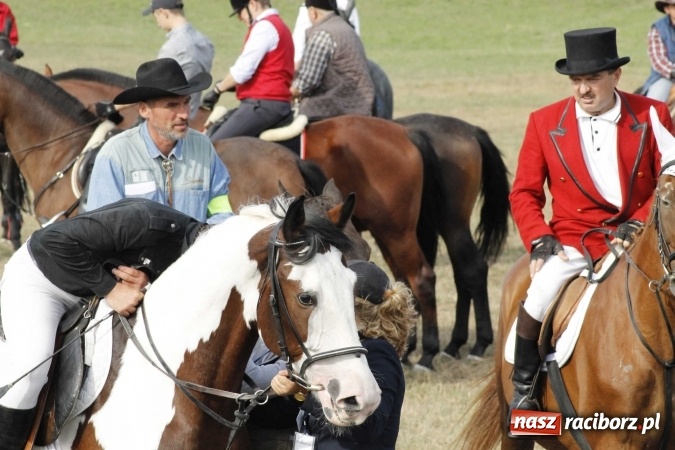 Zdjęcie w galerii na portalu naszraciborz.pl: Piękne amazonki na koniach, czyli Hubertus 2015 na polach na Ostrogu wiadomości z regionu