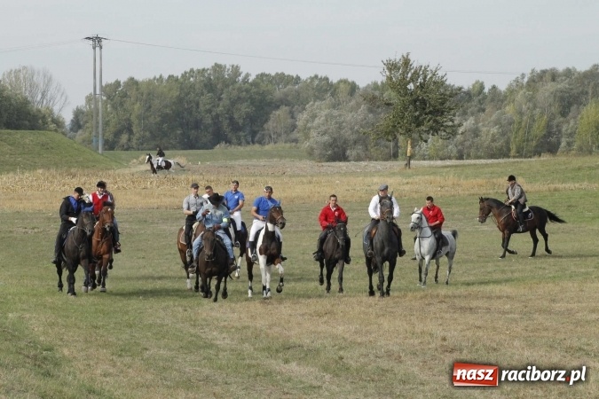 Zdjęcie w galerii na portalu naszraciborz.pl: Piękne amazonki na koniach, czyli Hubertus 2015 na polach na Ostrogu wiadomości z regionu