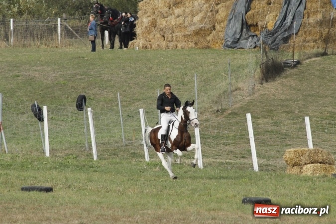 Zdjęcie w galerii na portalu naszraciborz.pl: Piękne amazonki na koniach, czyli Hubertus 2015 na polach na Ostrogu wiadomości z regionu
