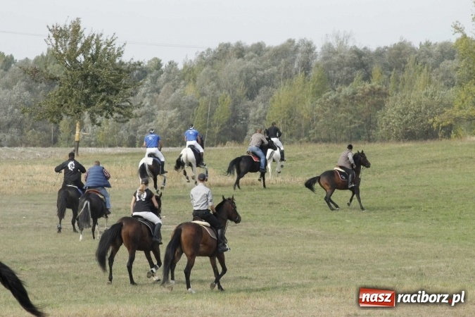 Zdjęcie w galerii na portalu naszraciborz.pl: Piękne amazonki na koniach, czyli Hubertus 2015 na polach na Ostrogu wiadomości z regionu