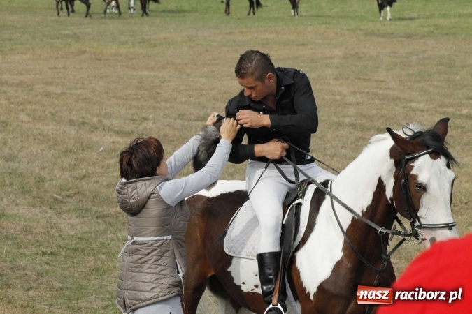 Zdjęcie w galerii na portalu naszraciborz.pl: Piękne amazonki na koniach, czyli Hubertus 2015 na polach na Ostrogu wiadomości z regionu