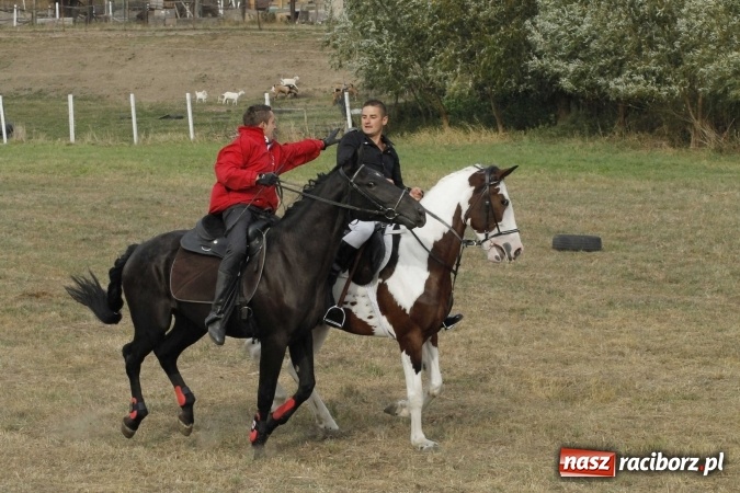 Zdjęcie w galerii na portalu naszraciborz.pl: Piękne amazonki na koniach, czyli Hubertus 2015 na polach na Ostrogu wiadomości z regionu