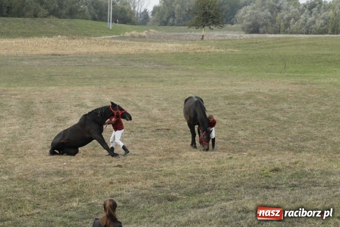 Zdjęcie w galerii na portalu naszraciborz.pl: Piękne amazonki na koniach, czyli Hubertus 2015 na polach na Ostrogu wiadomości z regionu